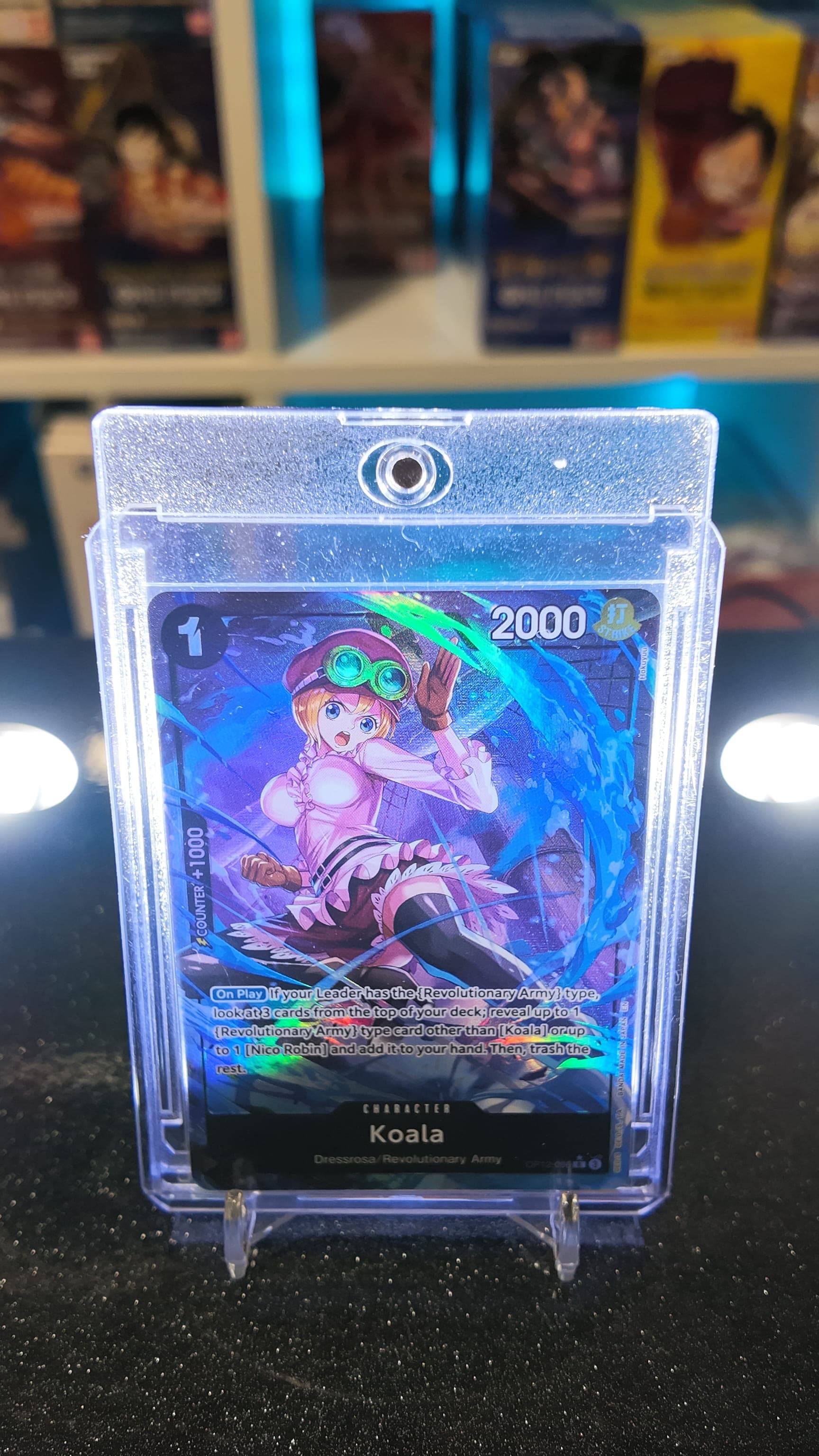 Koala (OP12-086) R AA ENG